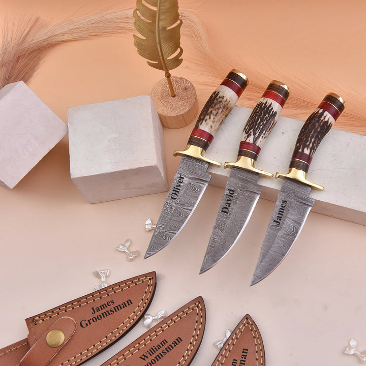 Handmade Damascus Steel Knife with Stag Handle and Leather Sheath